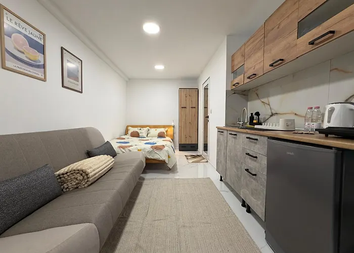 Botev Minihub Hub 1 Modern At Botev 88 Apartmán Sofie