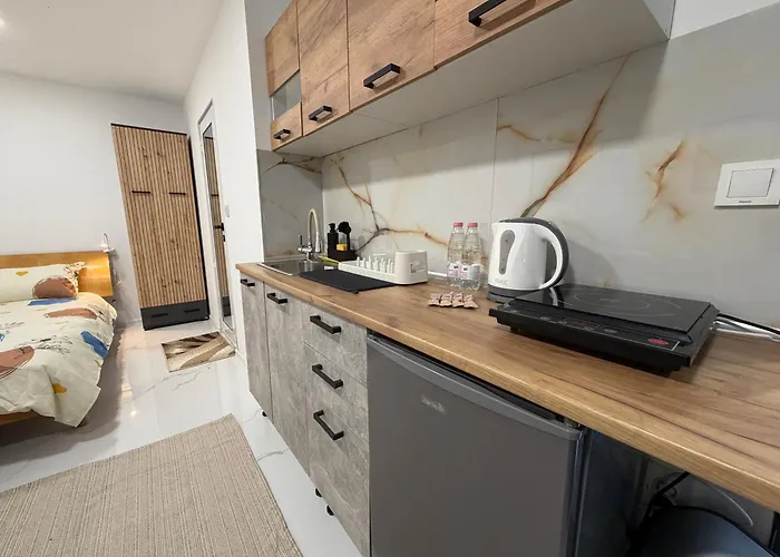 Botev Minihub Hub 1 Modern At Botev 88 Lejlighed